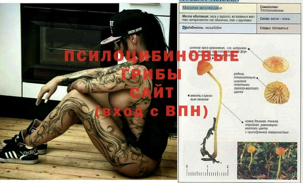 прущая мука Абинск