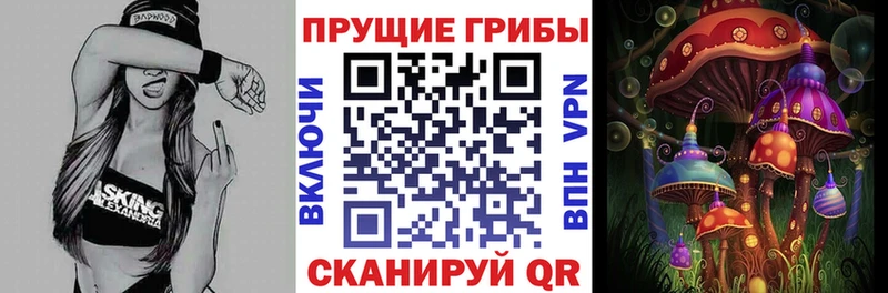 Галлюциногенные грибы мицелий  Яблоновский 